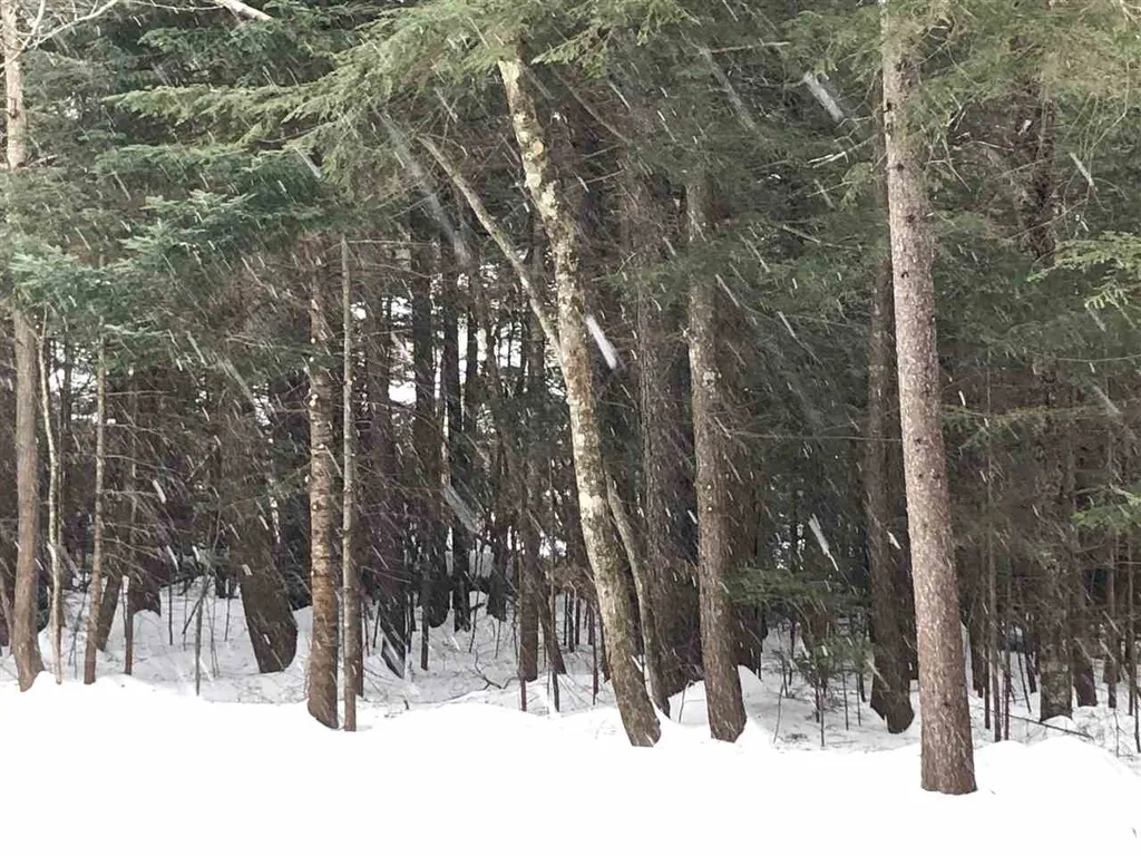 37 Sunne Village Lane Dover VT 05356