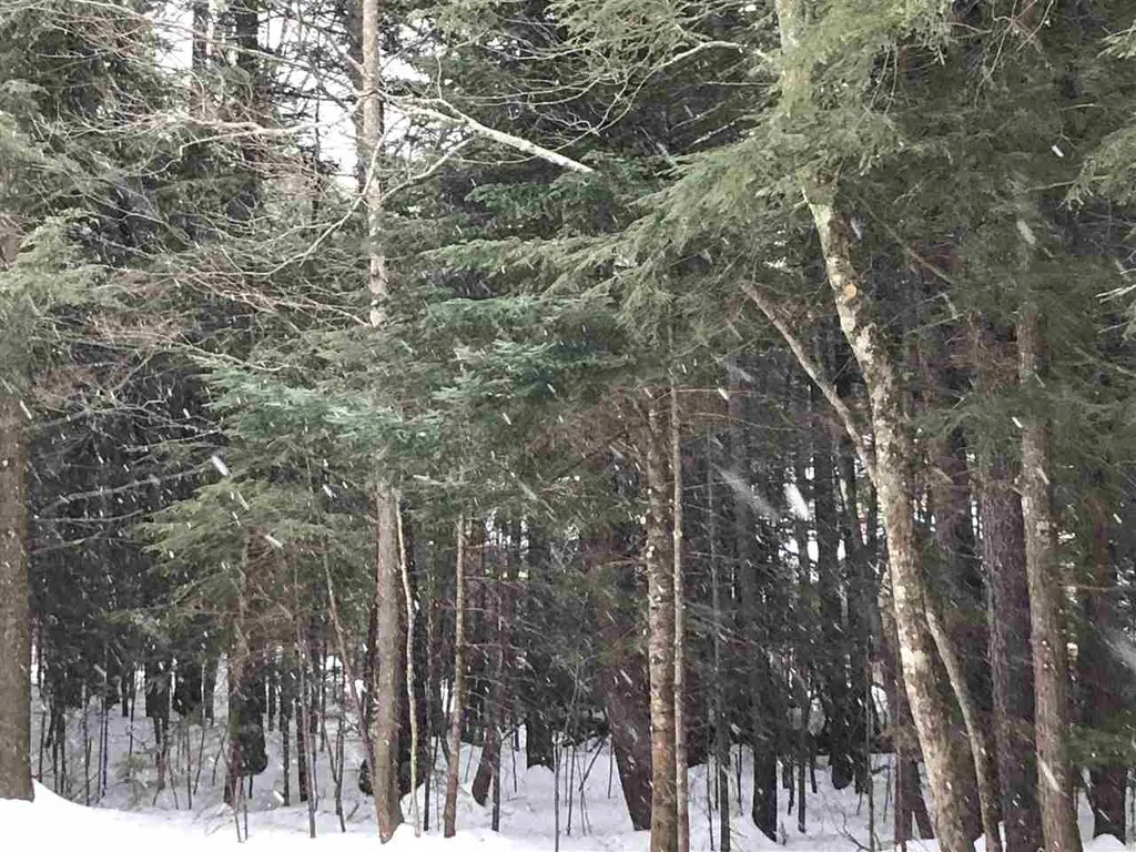 37 Sunne Village Lane Dover VT 05356
