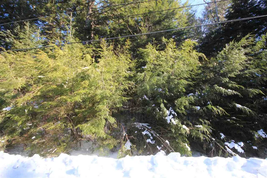 37 Sunne Village Lane Dover VT 05356