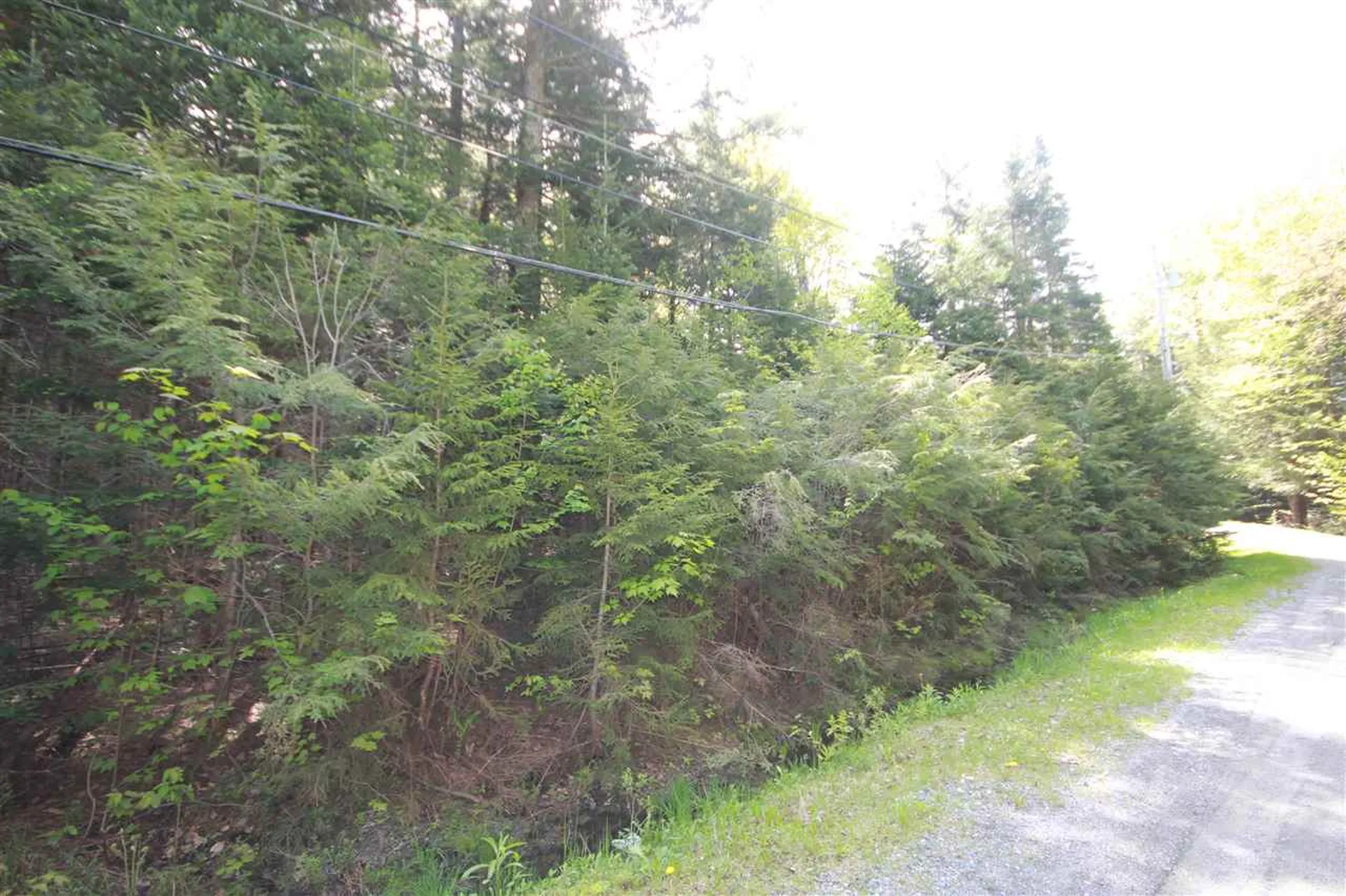 37 Sunne Village Lane Dover VT 05356