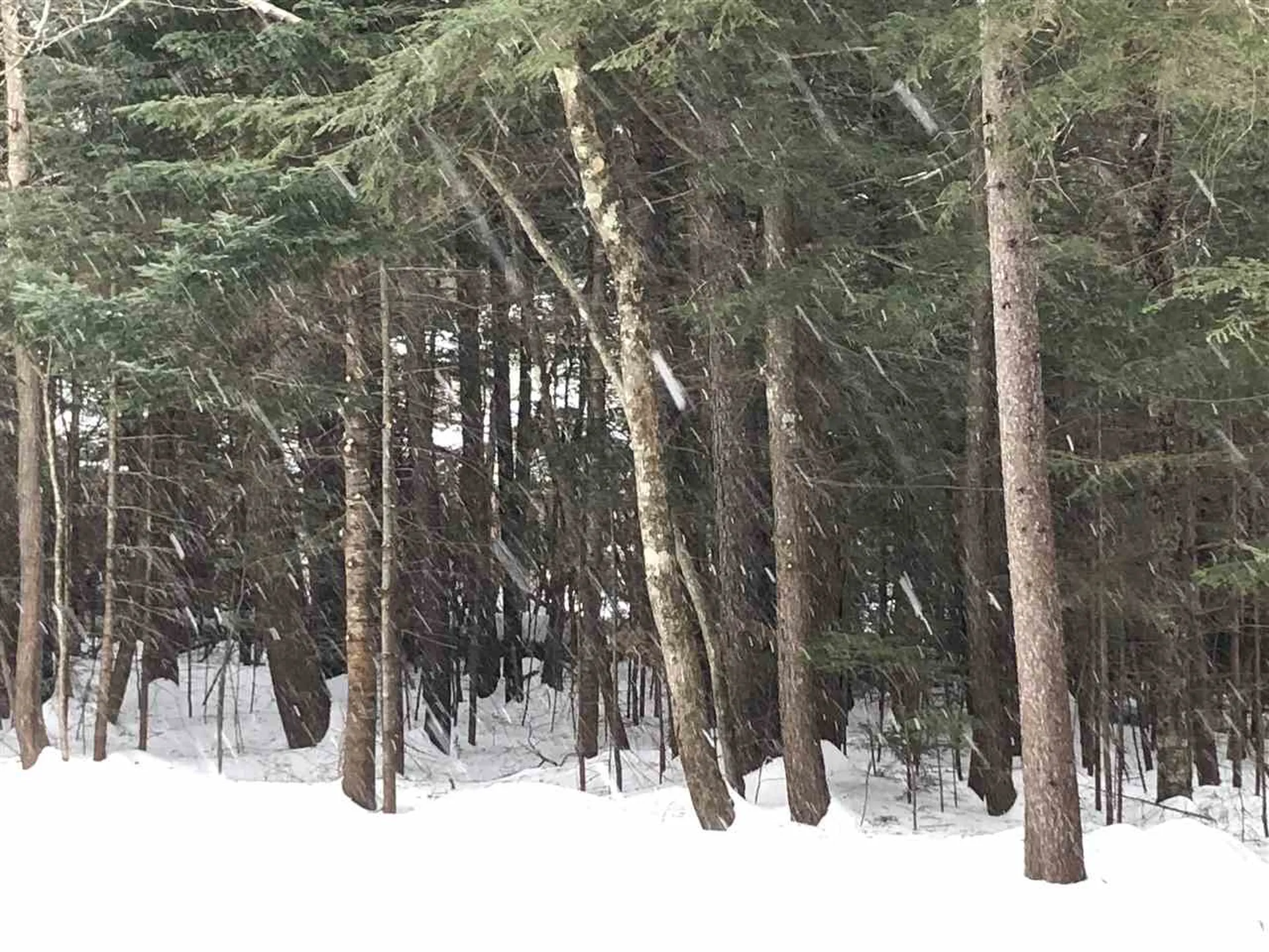 37 Sunne Village Lane Dover VT 05356