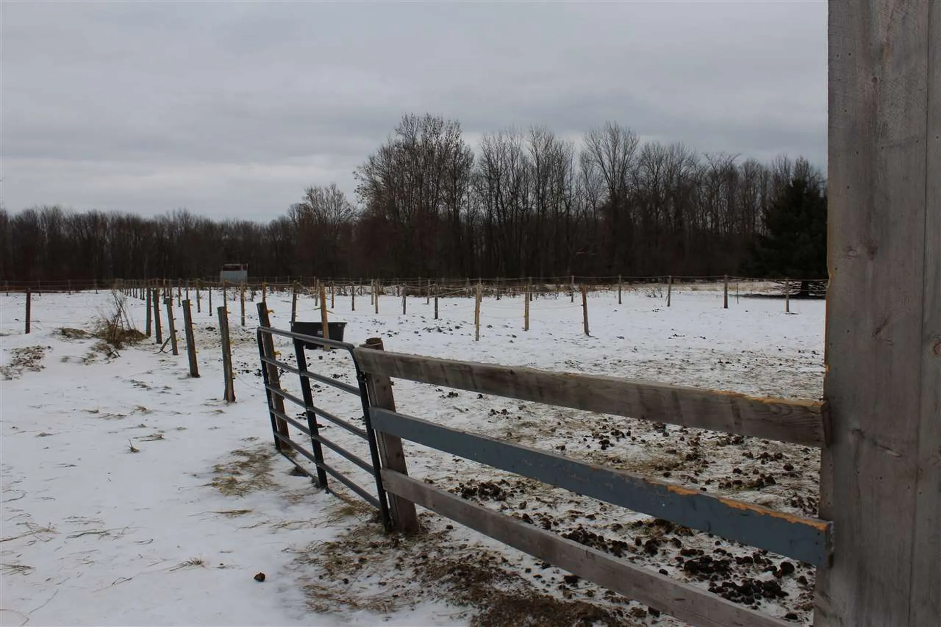 3023 Us Route 2 S Route Alburgh VT 05440