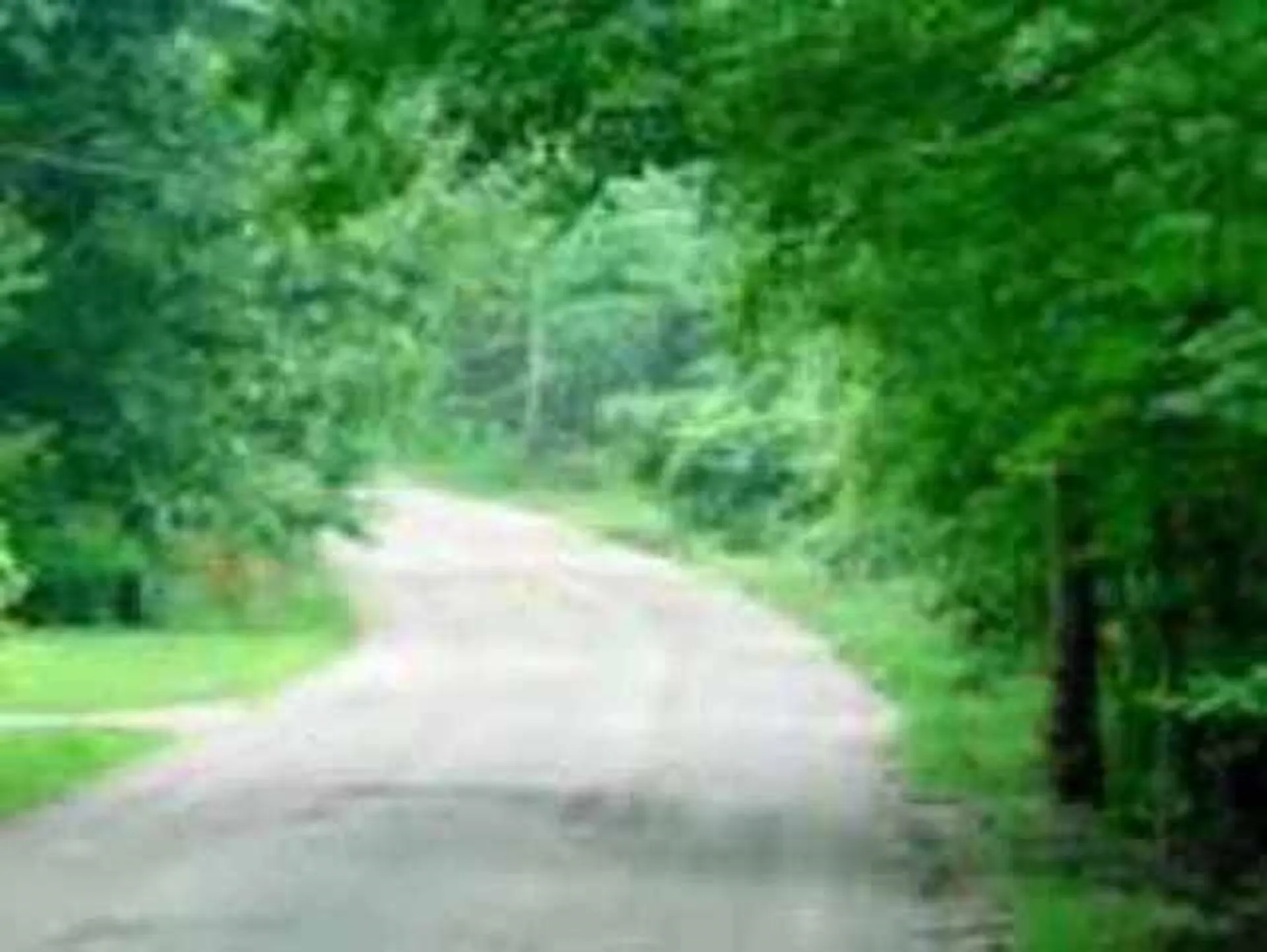 Tbd Delorm Road Leicester VT 05733