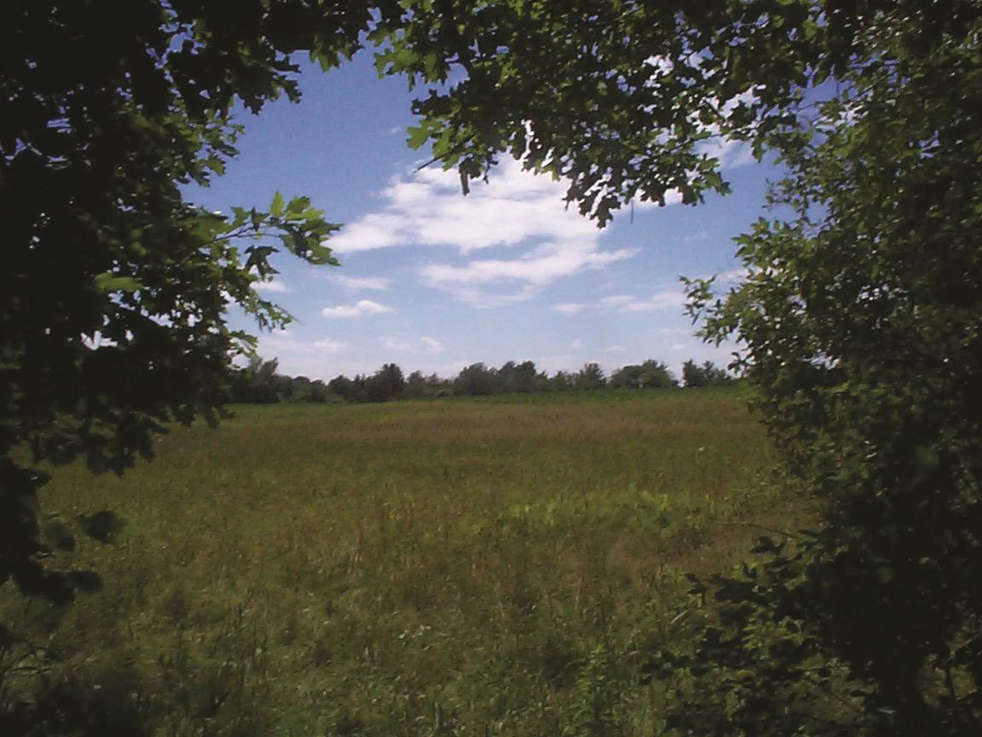 Tbd Delorm Road Leicester VT 05733