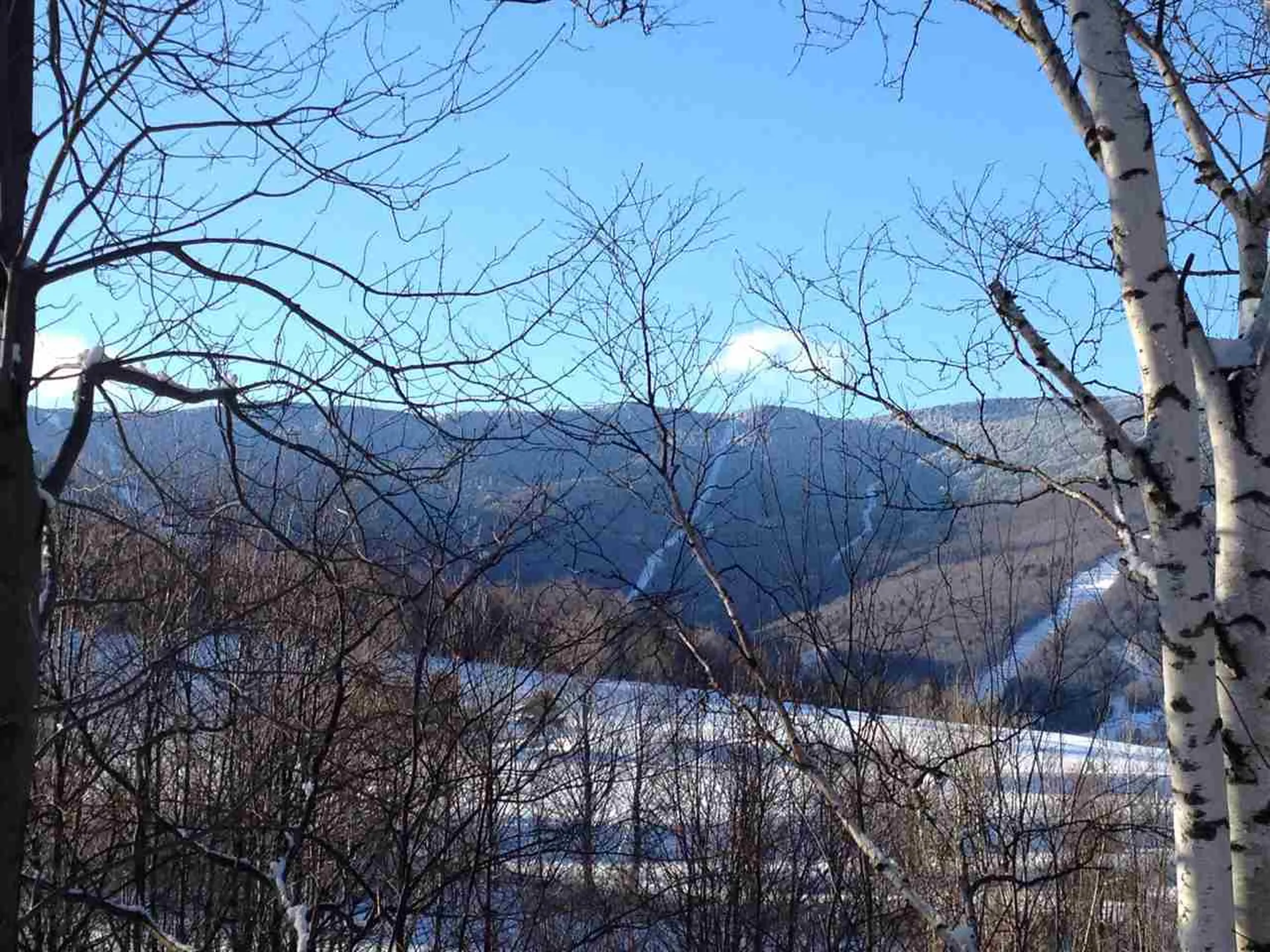 1225 Golf Course Road Warren VT 05674