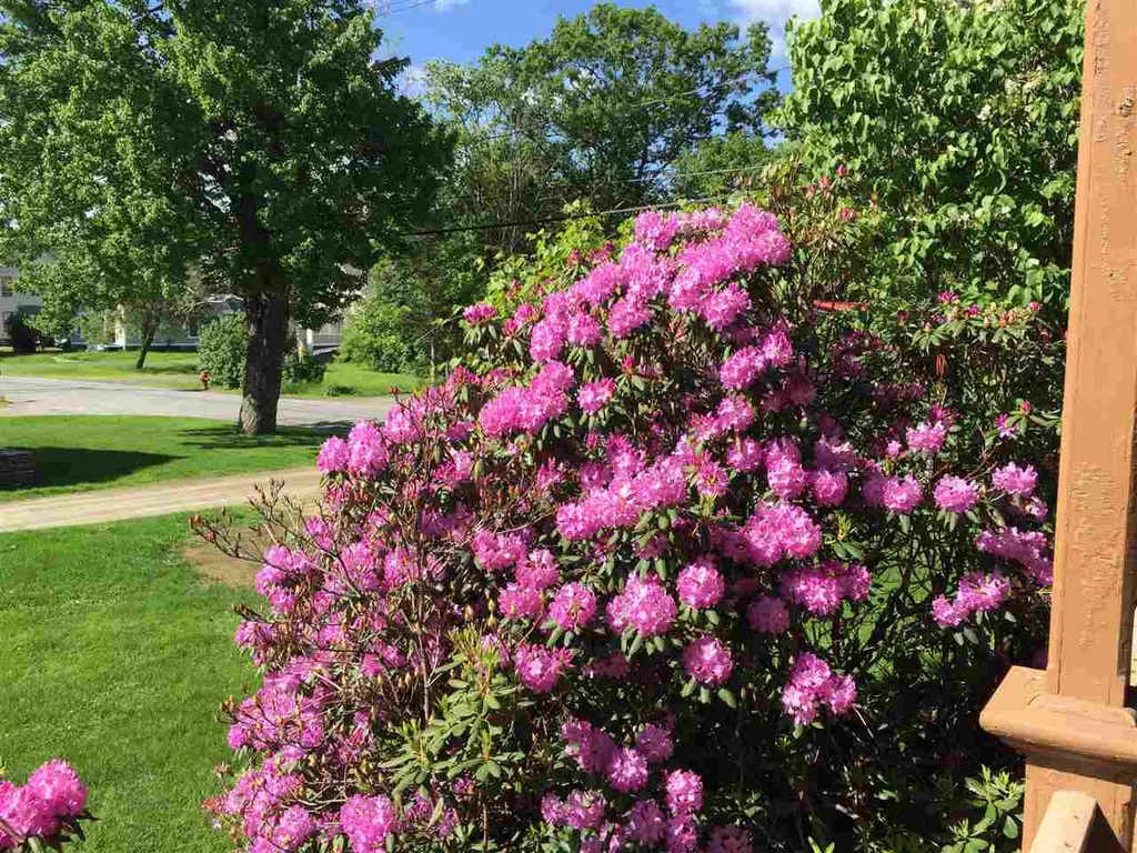 431 Elm Street Chester VT 05143