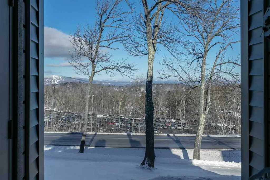 10 Ober Tal Drive Stratton VT 05155