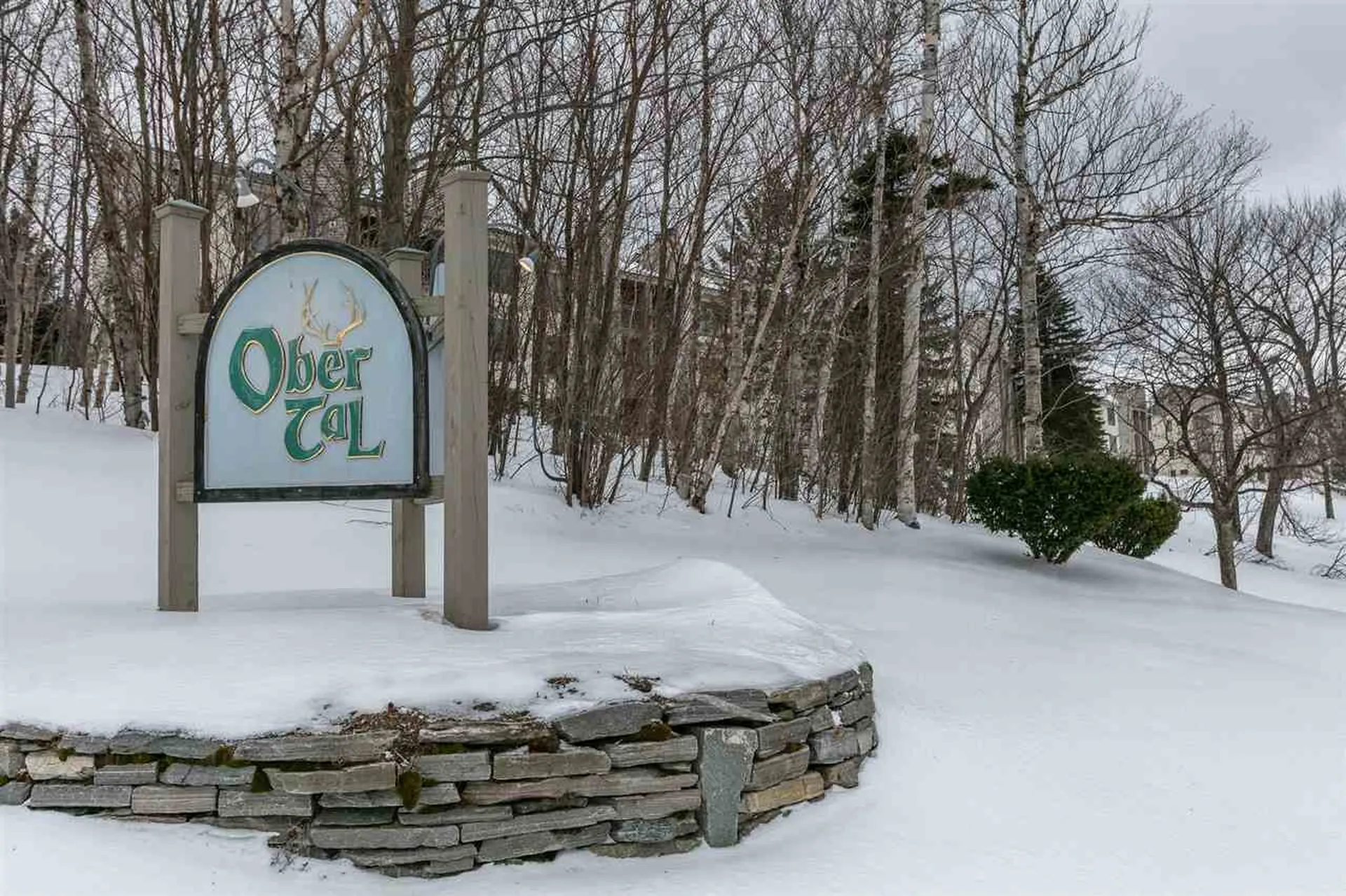 10 Ober Tal Drive Stratton VT 05155