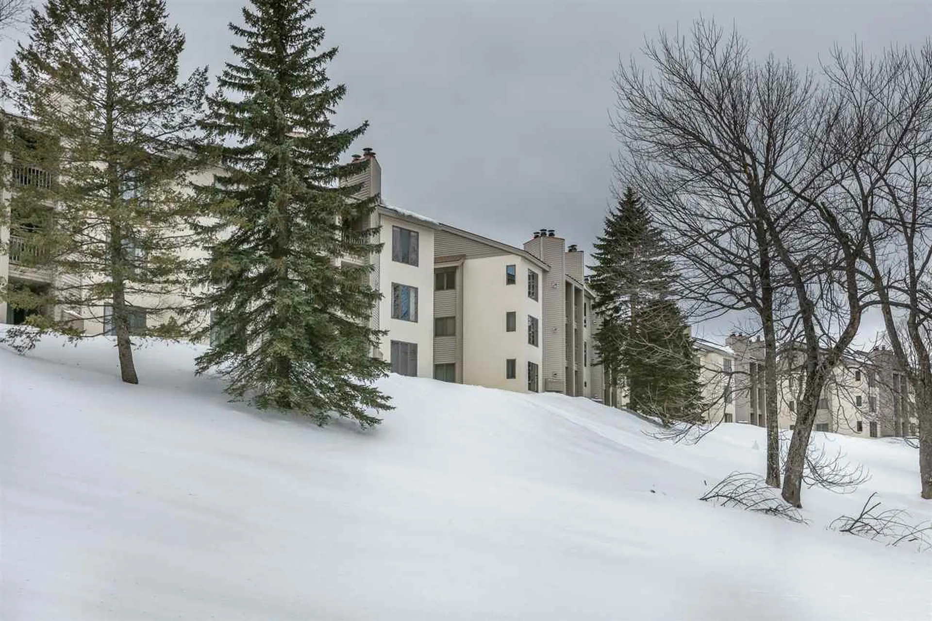 10 Ober Tal Drive Stratton VT 05155