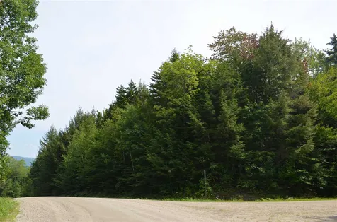 Farm Ridge Road Ludlow VT 05149
