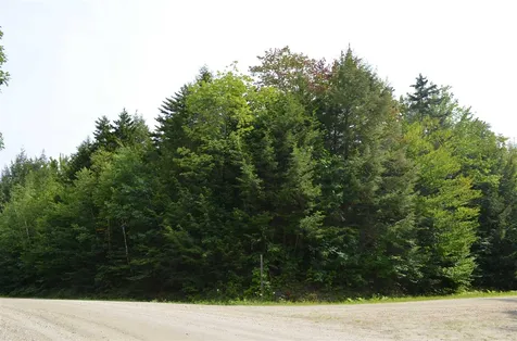 Farm Ridge Road Ludlow VT 05149