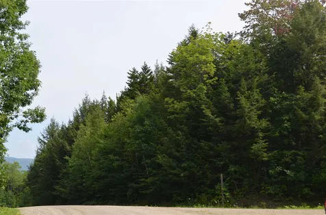 Farm Ridge Road Ludlow VT 05149