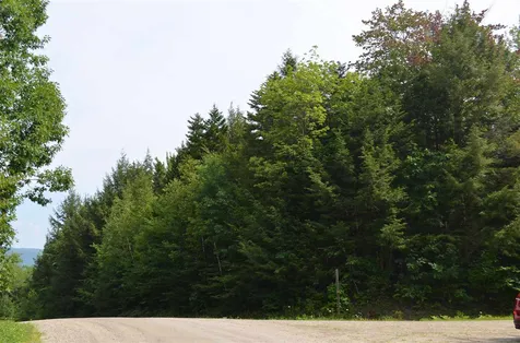 Farm Ridge Road Ludlow VT 05149