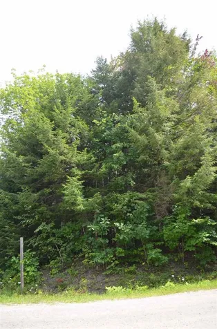 Farm Ridge Road Ludlow VT 05149