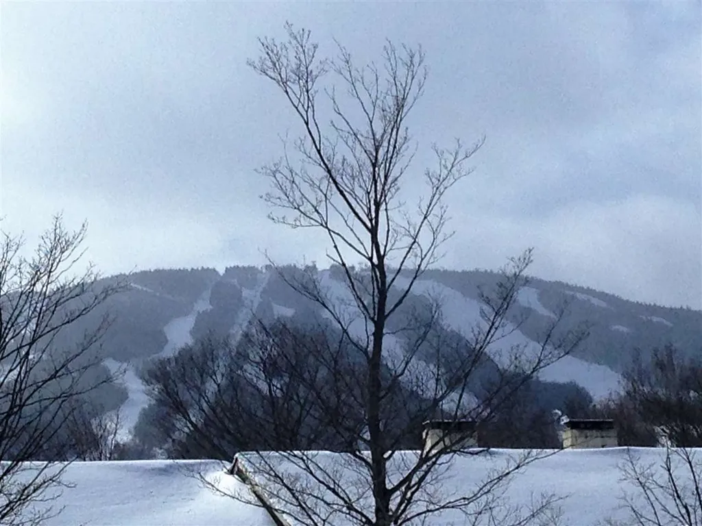85 East Birch Road Stratton VT 05360