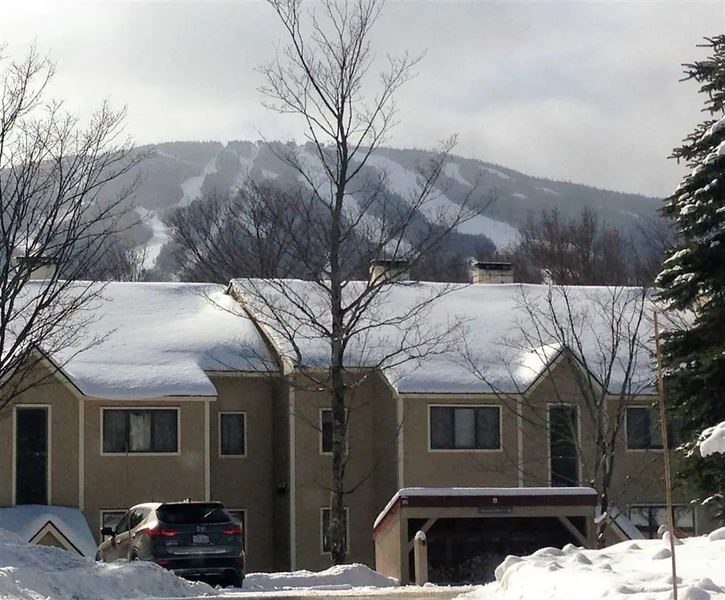 85 East Birch Road Stratton VT 05360