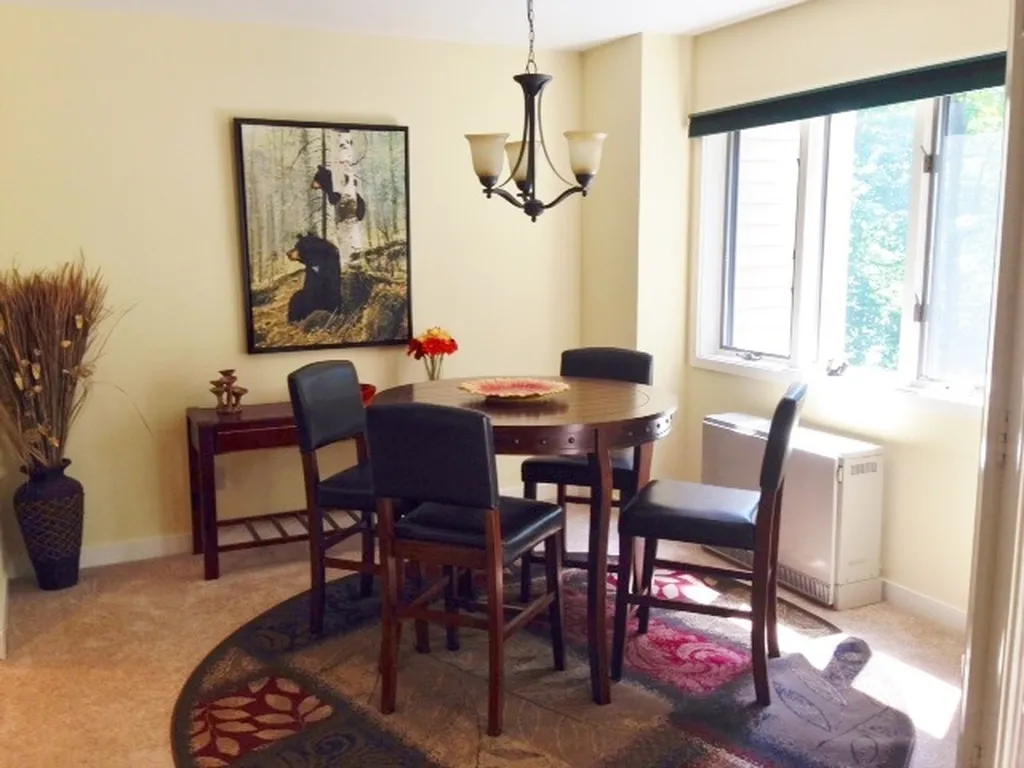 85 East Birch Road Stratton VT 05360