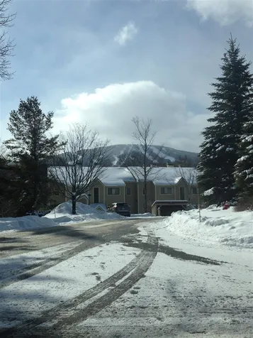 85 East Birch Road Stratton VT 05360
