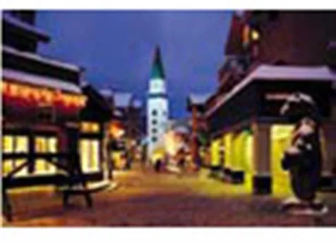 85 East Birch Road Stratton VT 05360