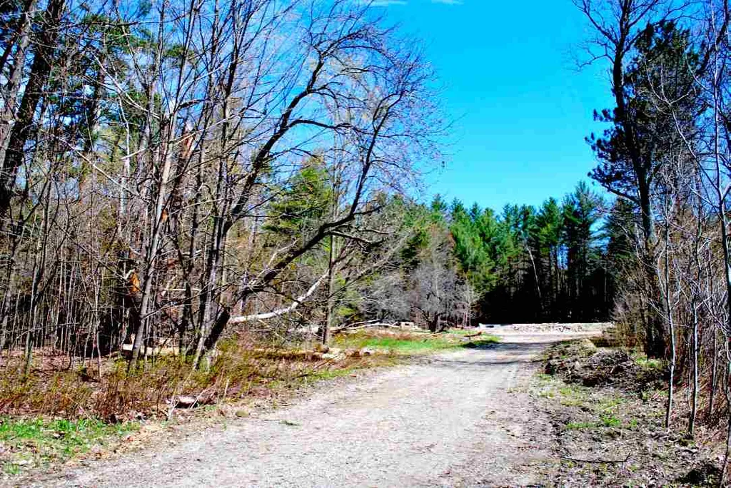 3418 Mountain Road Stowe VT 05672