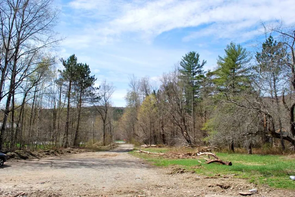3418 Mountain Road Stowe VT 05672