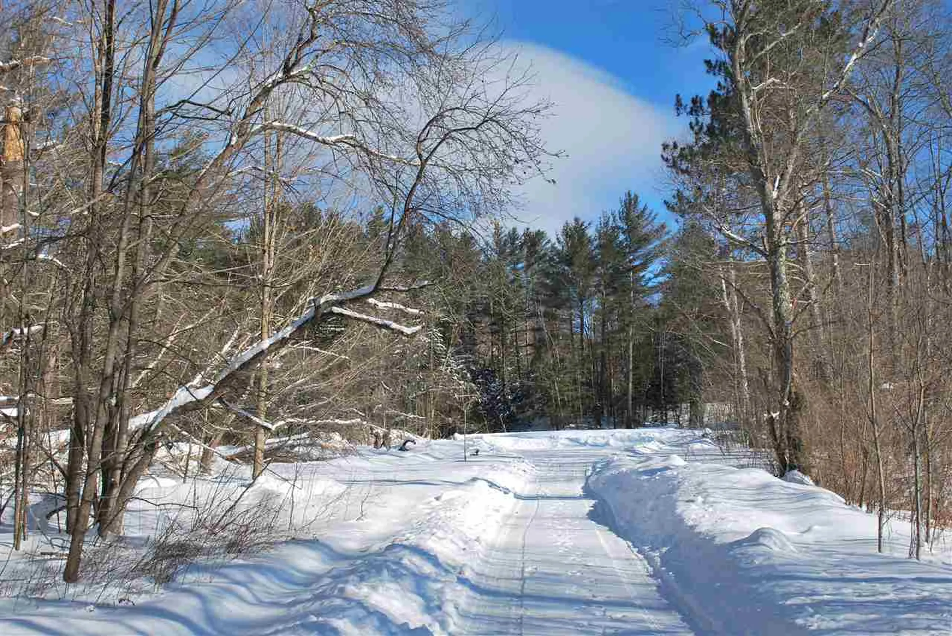 3418 Mountain Road Stowe VT 05672