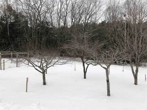 375 Woodbury Road Springfield VT 05156