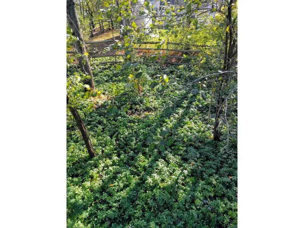 60 Harte Circle Williston VT 05495