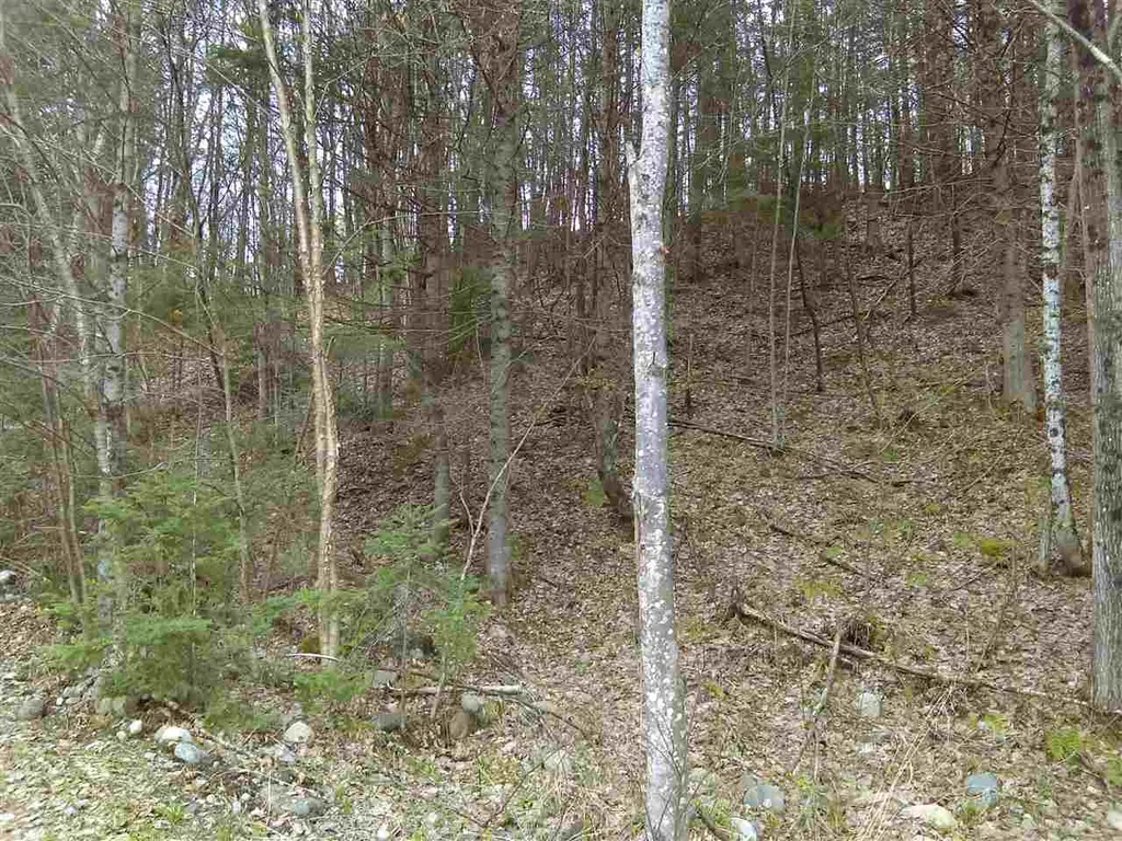 403-47 Marsh Road Columbia NH 03576