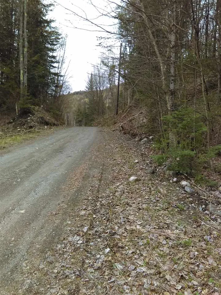 403-47 Marsh Road Columbia NH 03576