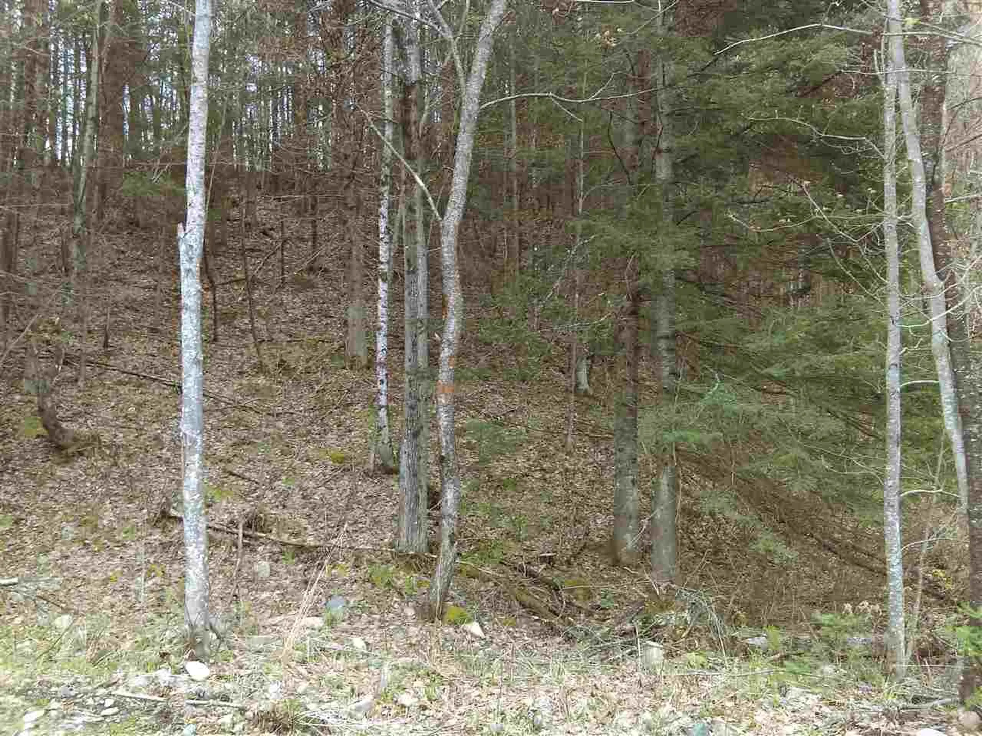 403-47 Marsh Road Columbia NH 03576