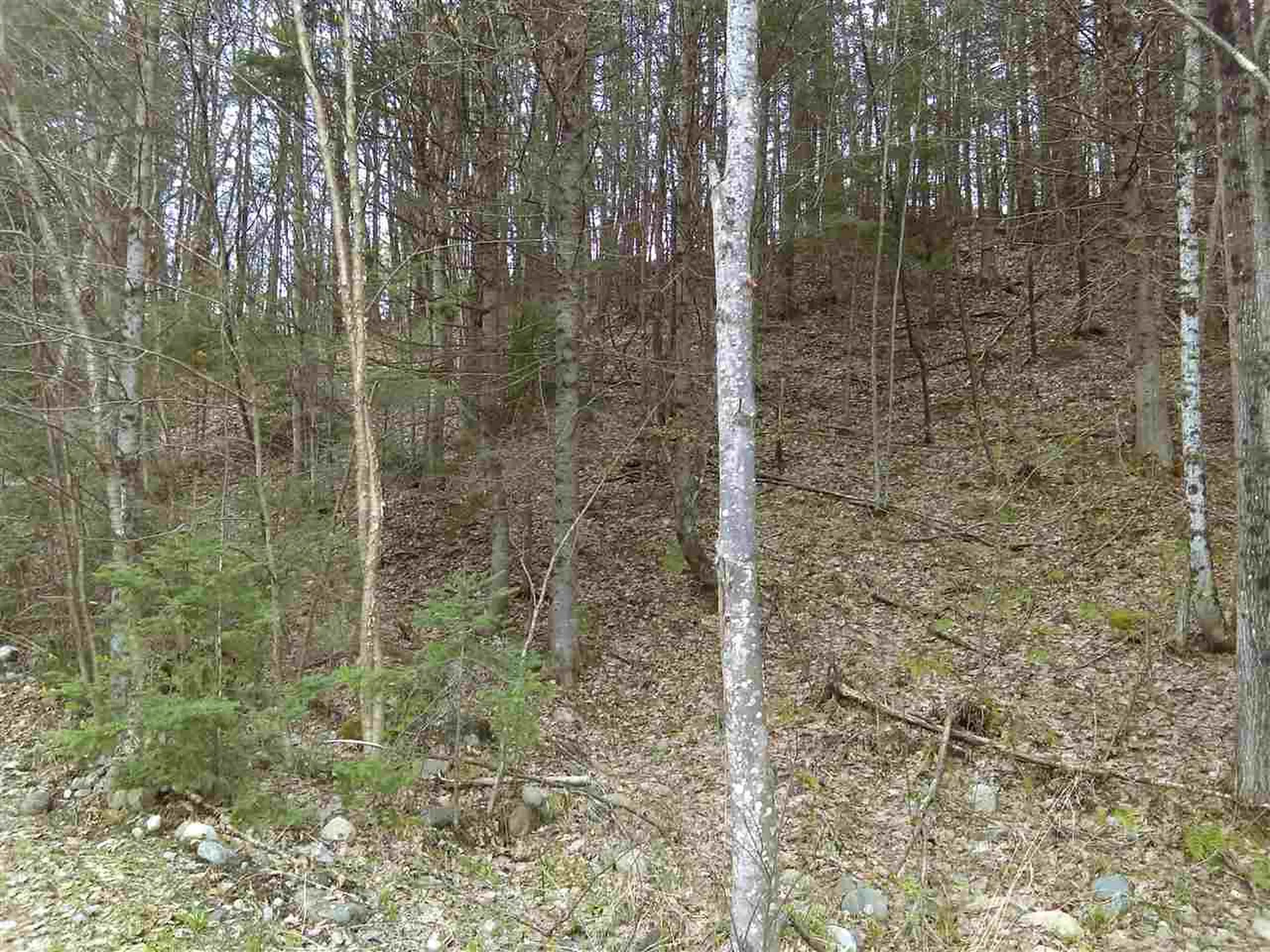 403-47 Marsh Road Columbia NH 03576