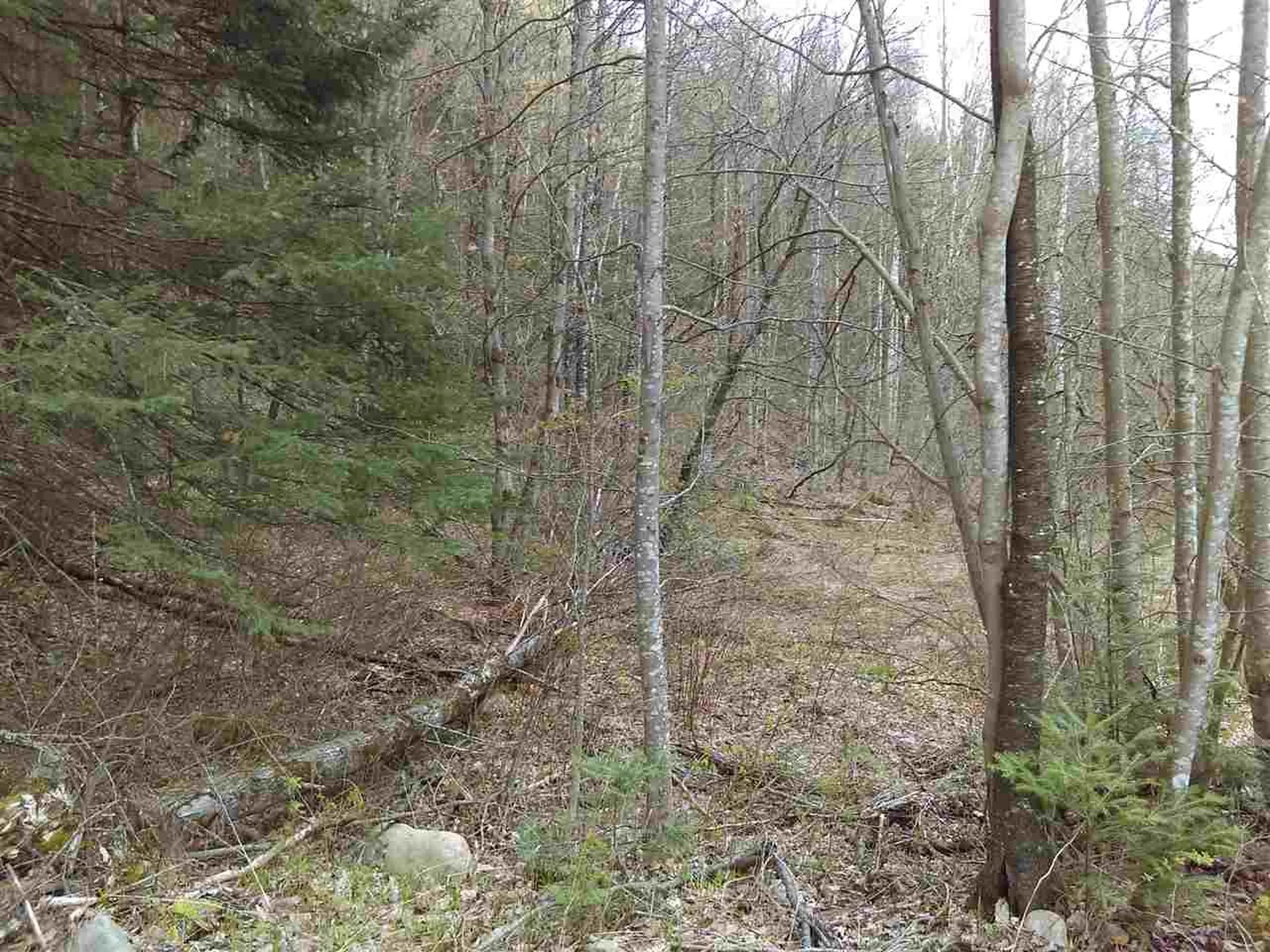 403-47 Marsh Road Columbia NH 03576
