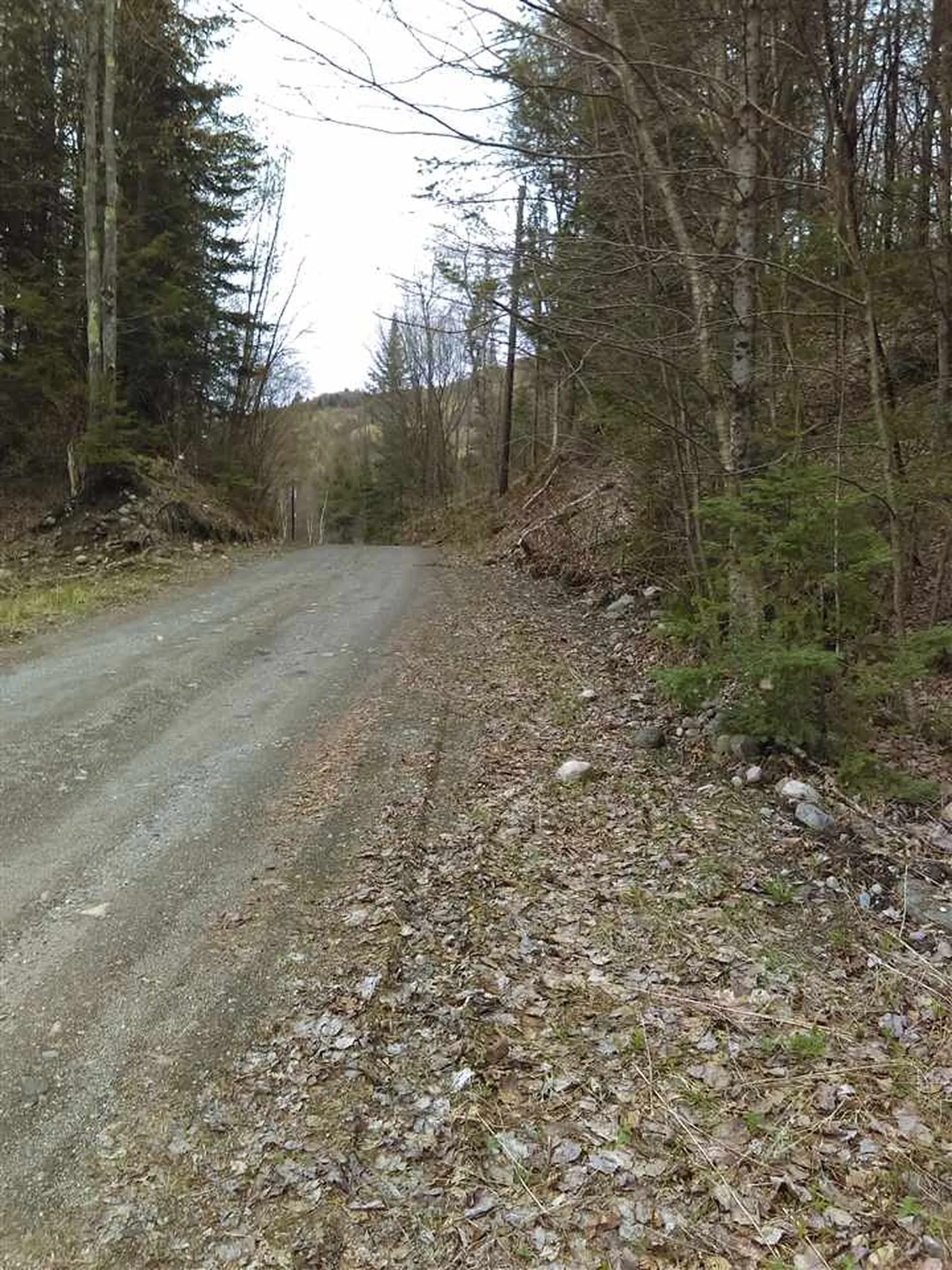 403-47 Marsh Road Columbia NH 03576