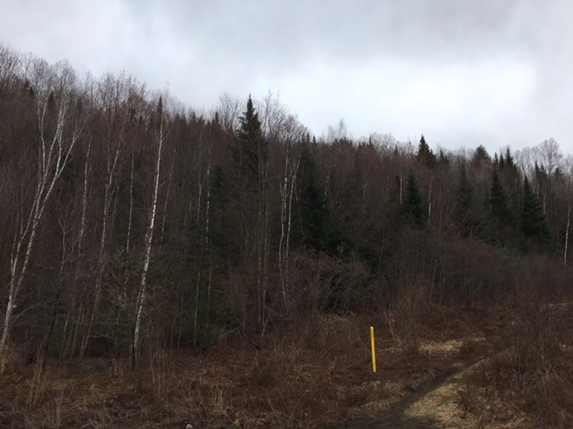 403-47 Marsh Road Columbia NH 03576
