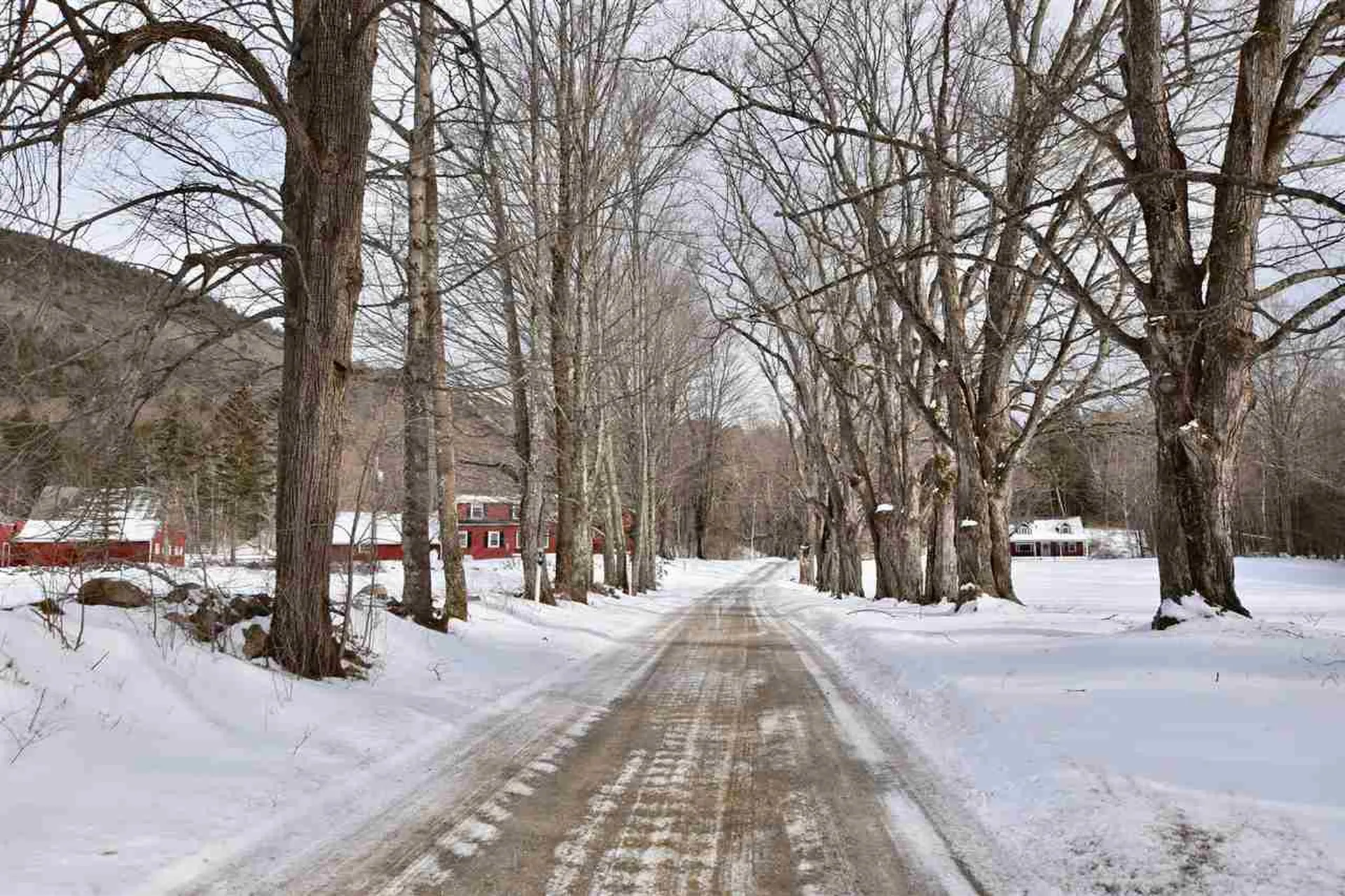 75 Roaring Brook Lane Wallingford VT 05773