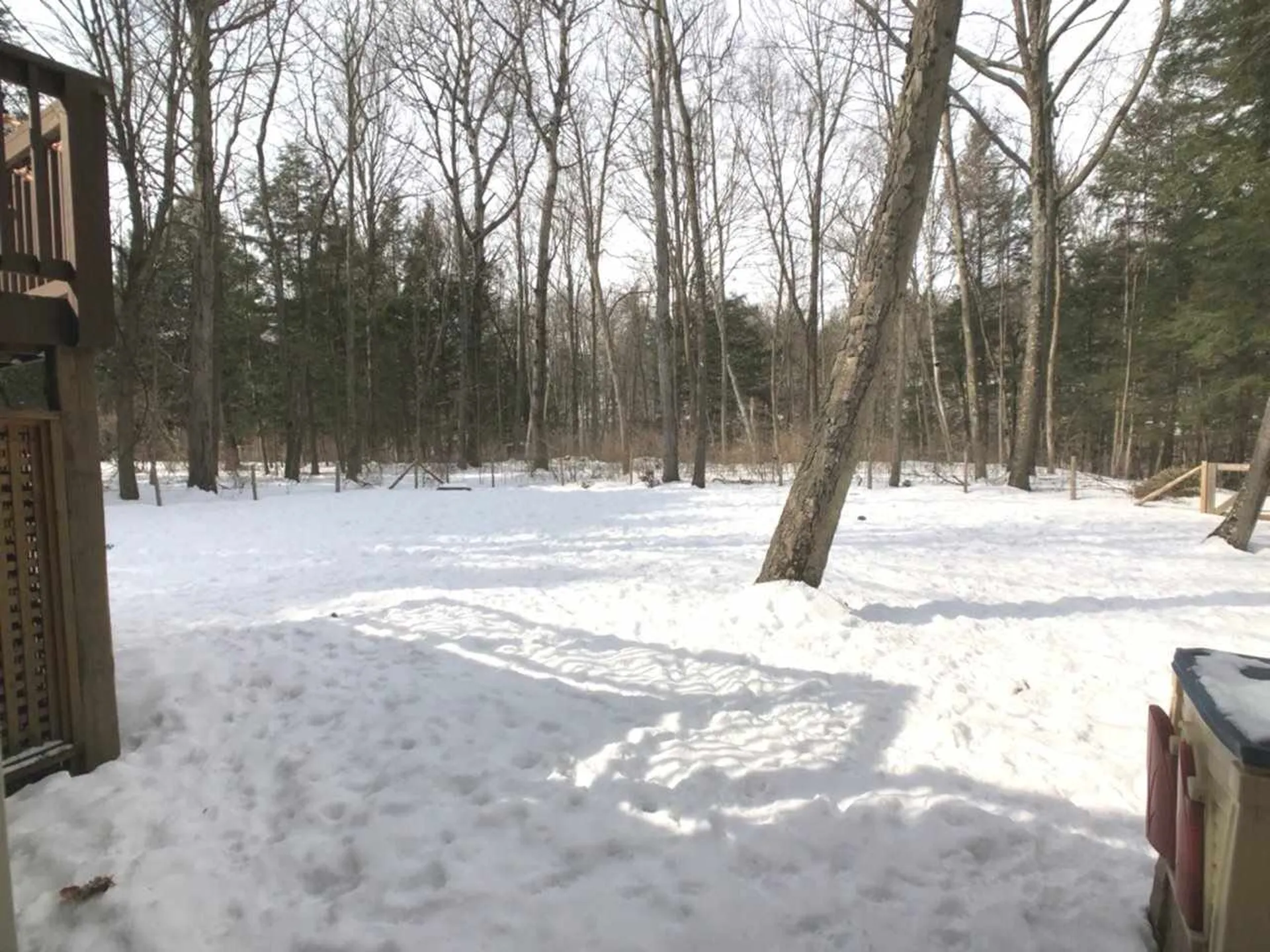 215 Fletcher Lane Shelburne VT 05482