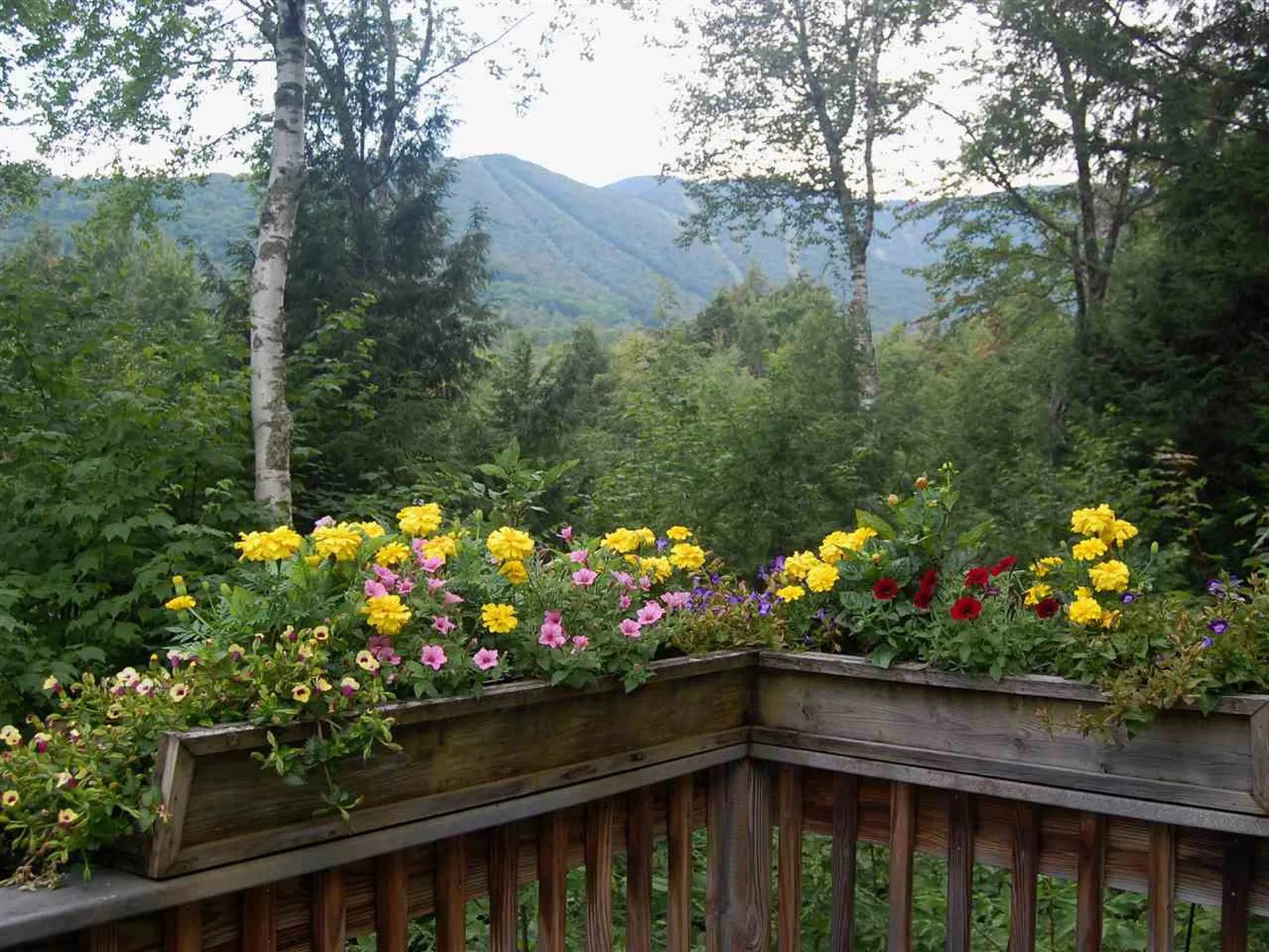 327 Bridges Circle Warren VT 05674