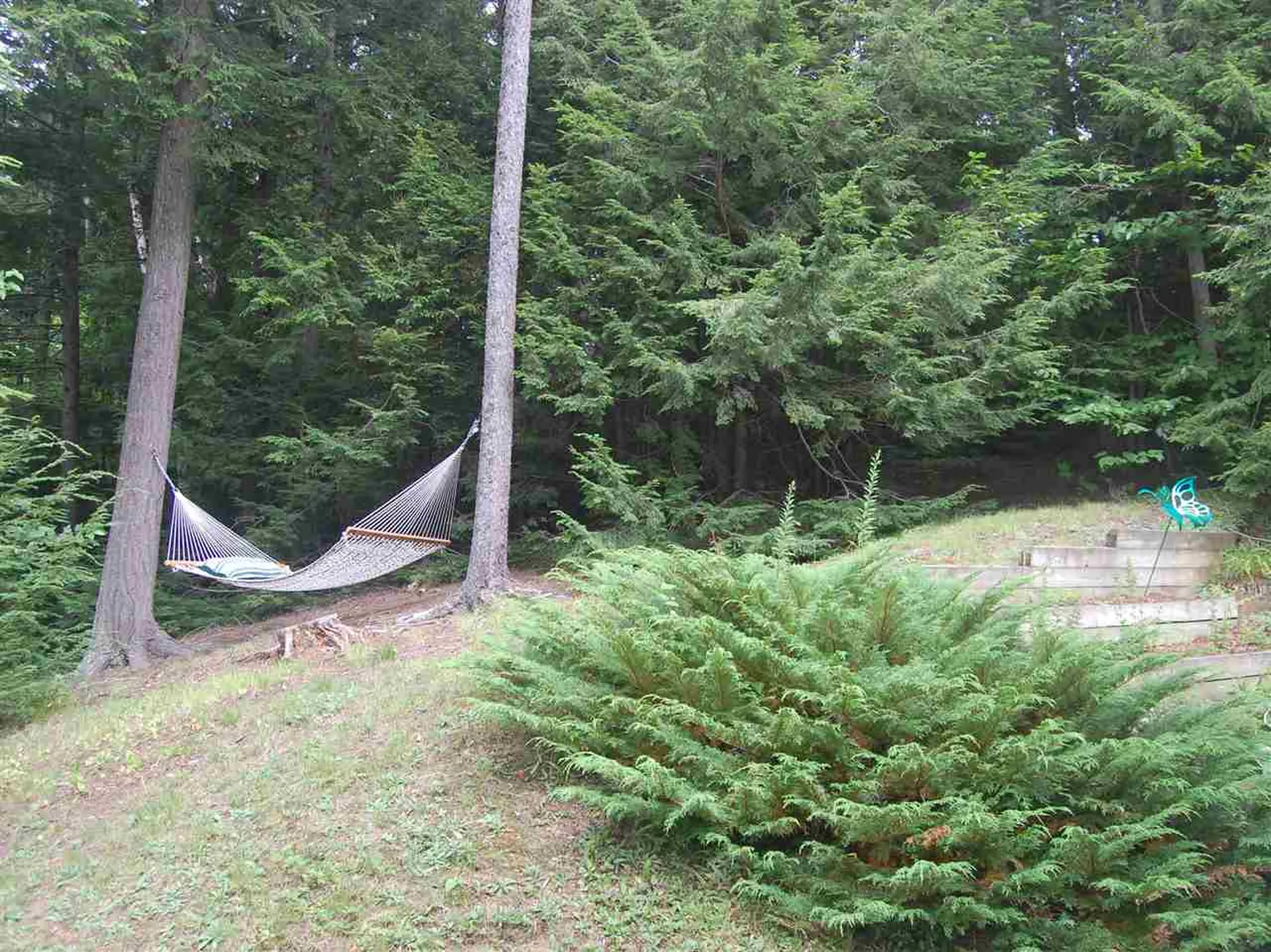 327 Bridges Circle Warren VT 05674