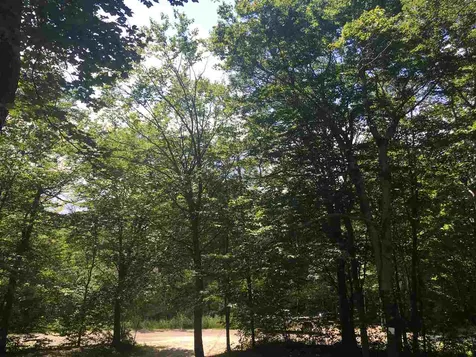 12 Scattered Timber Road Wilmington VT 05363