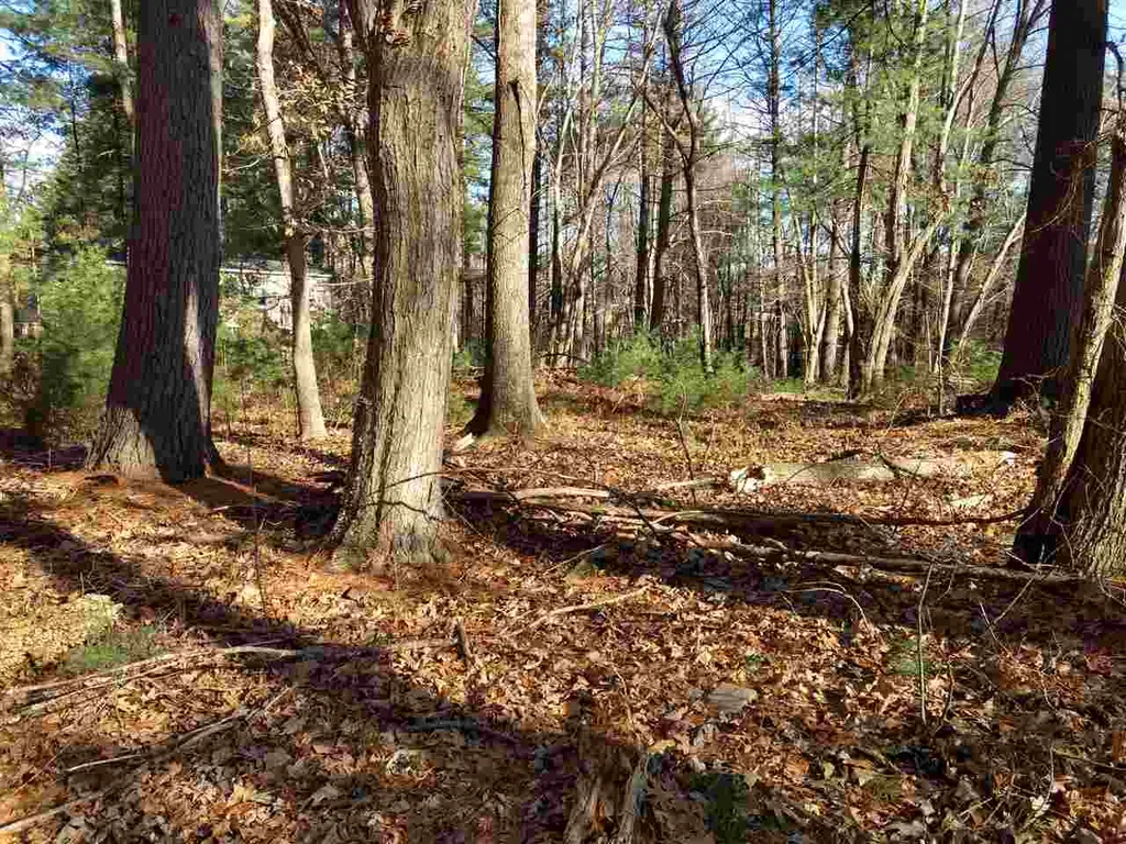 77 Gilson Road Nashua NH 03062