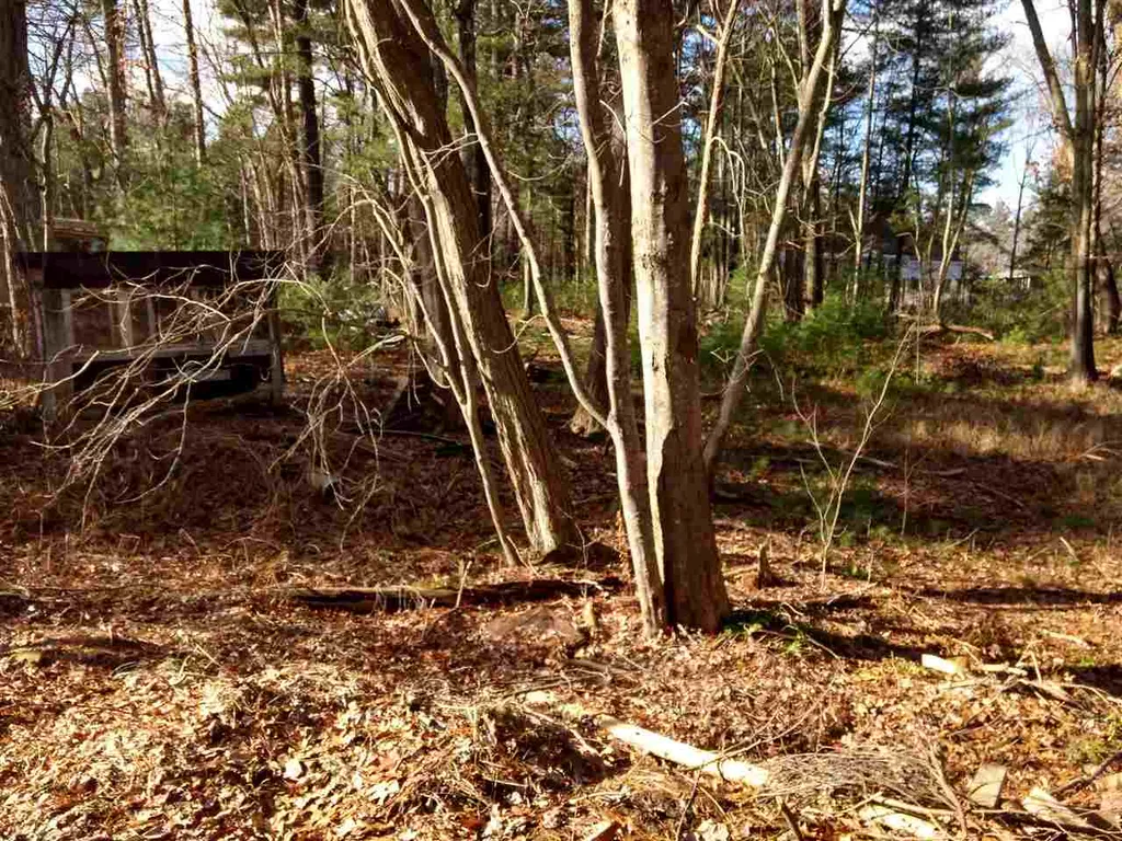 77 Gilson Road Nashua NH 03062