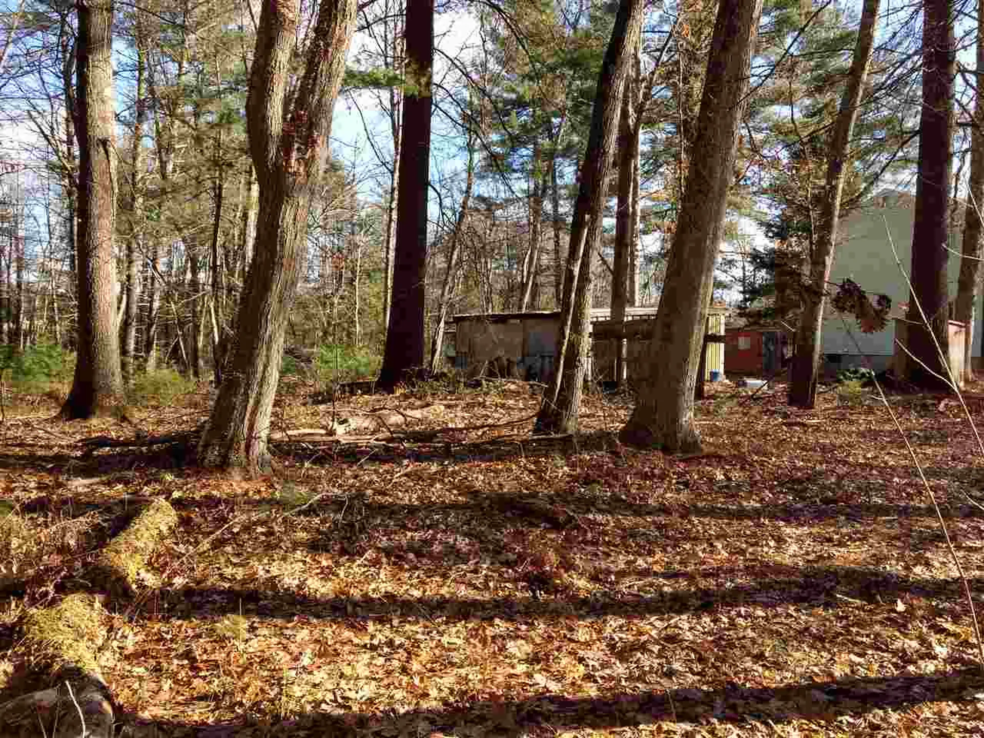 77 Gilson Road Nashua NH 03062