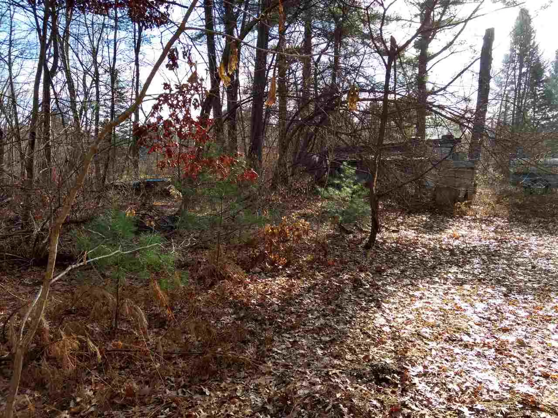 77 Gilson Road Nashua NH 03062