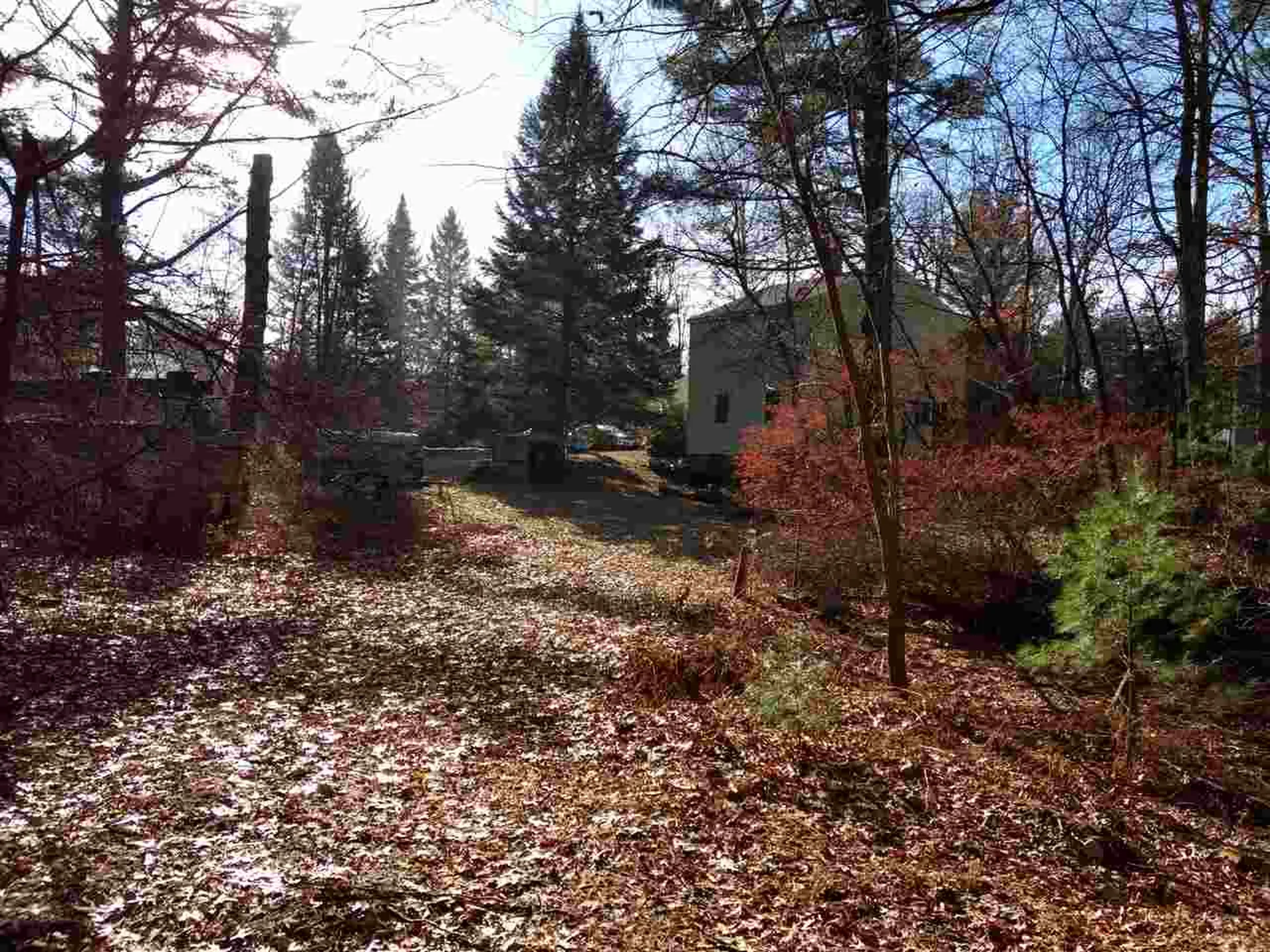 77 Gilson Road Nashua NH 03062