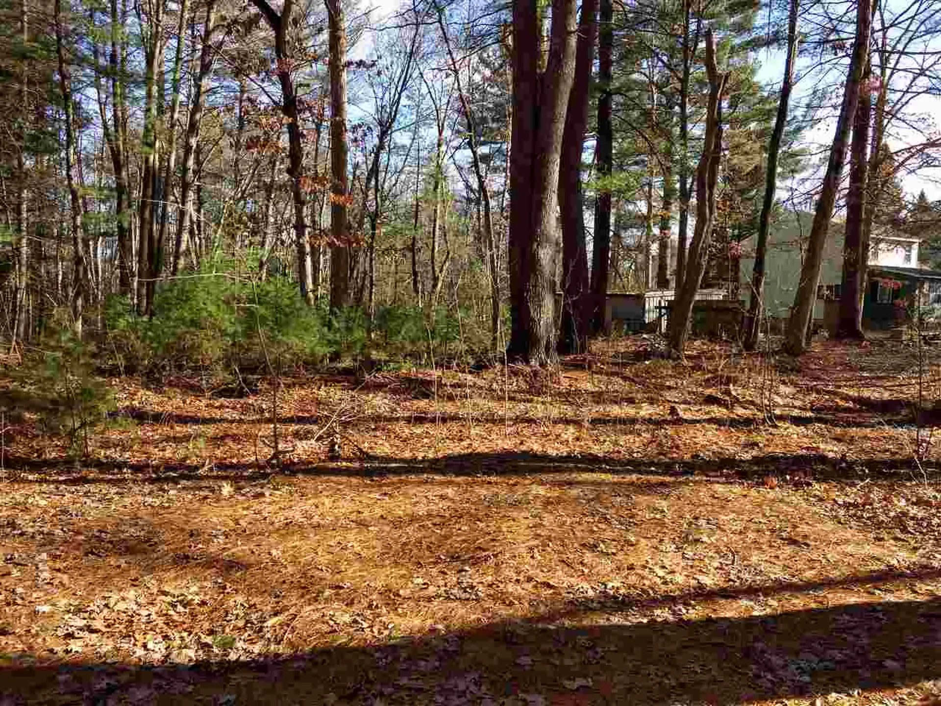 77 Gilson Road Nashua NH 03062