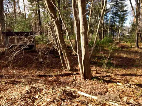 77 Gilson Road Nashua NH 03062