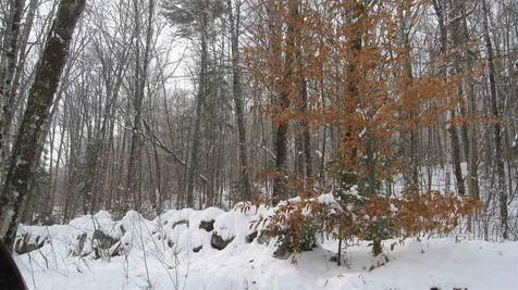 104 Downing Road Topsham VT 05076