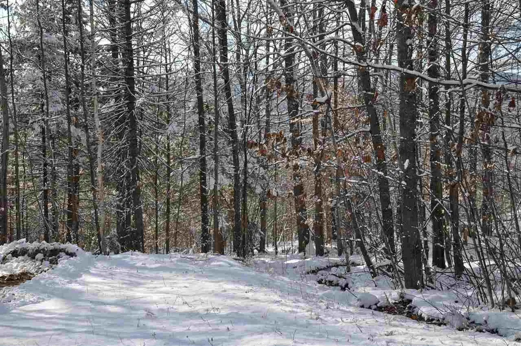 63.1 Seaward Drive Danbury NH 03230