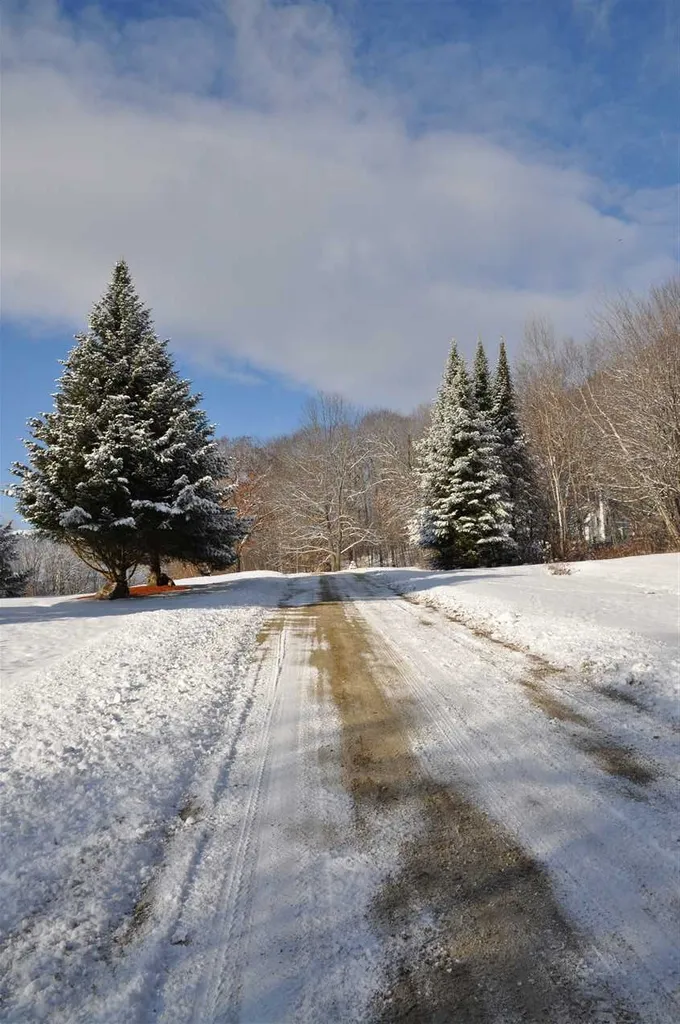 63.1 Seaward Drive Danbury NH 03230